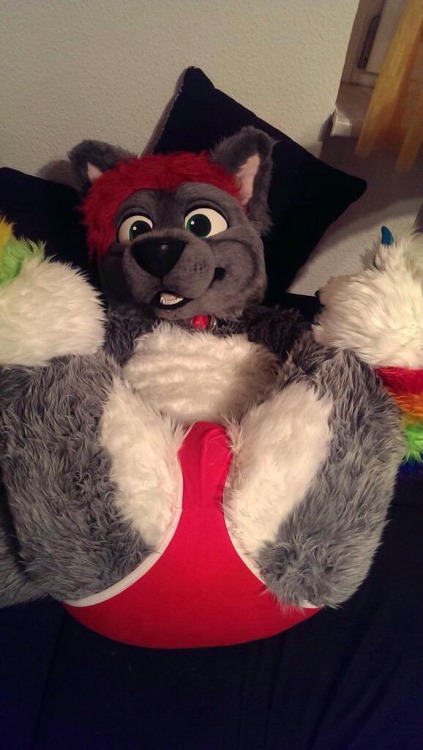 Courtesy of @FursuitButts. ;P ***Not Murrsuits*** ~Follow For More~