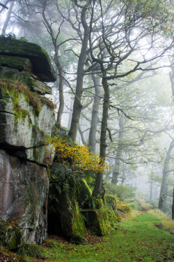 wanderthewood:Padley Gorge, Peak District, England by BazGimage