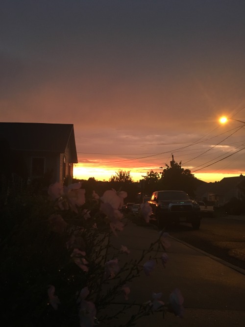 acid–cobain:golden hour