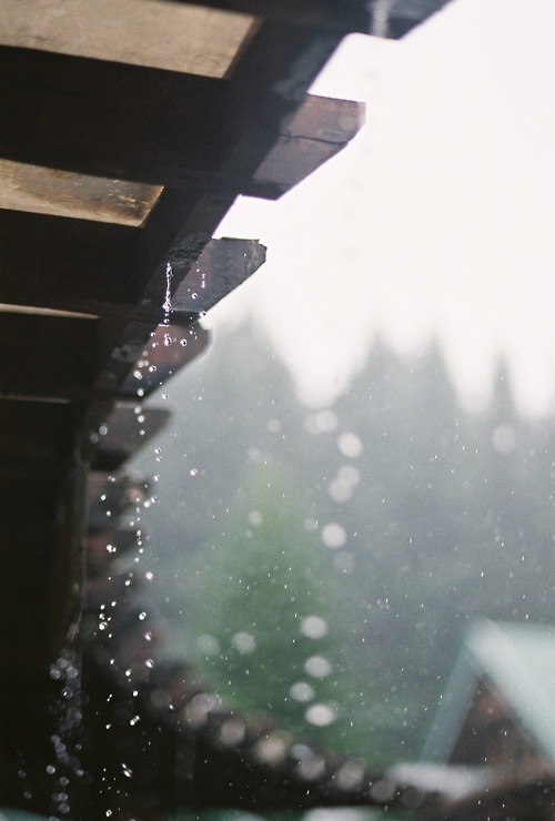 klotzblog:  Rain is the most beautiful of all weathers.  It is a tie whether rain in the car on a highway or rain in the middle of the city is my favorite.   