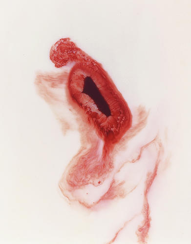 showslow: Paintings of Blood and Milk by adult photos