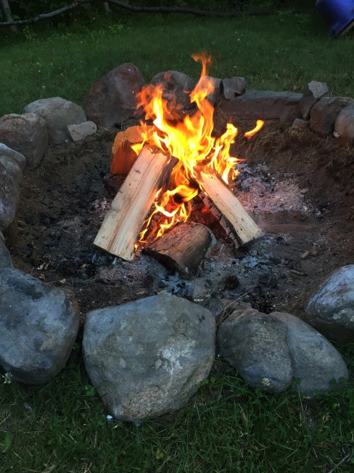 bobbcarly: this weekend has consisted of beaches, trees, joints and campfires