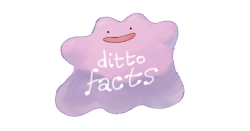 everydaylouie:ditto facts