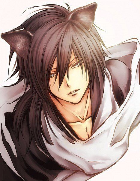 squallneko