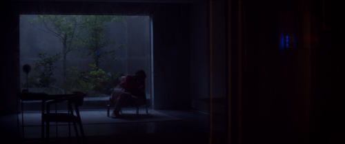 Ex Machina (2015)Dir. Alex GarlandCinematography: Rob Hardy