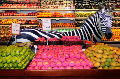  Garden Fresh by Agan Harahap The photo series exhibits a diverse set of animals casually walking through various sections of a supermarket, as though they themselves are shopping for ingredients for their next dinner party. 