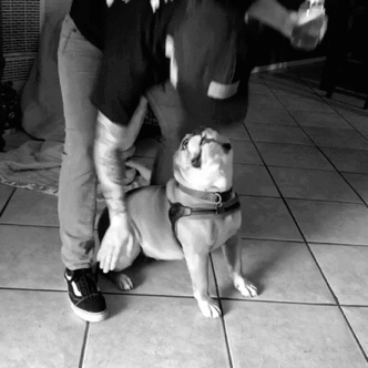 She loves her booty being tapped 😍