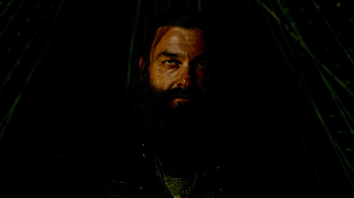 ray stevenson