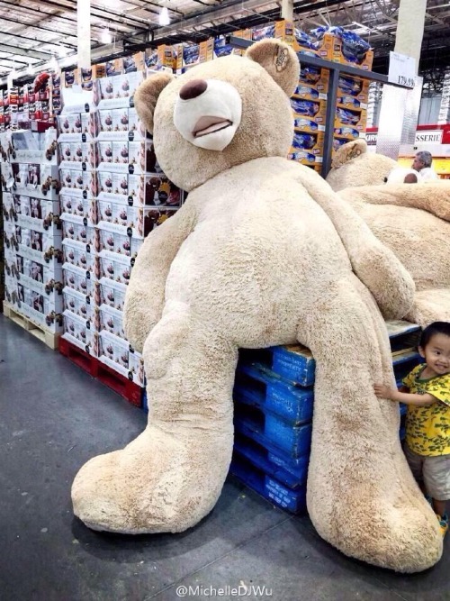 daddydomdoneright:  daddyslittlecubby:  girlwhoposts-x:babygixrl:fatbabe4alwayz:  fatbodypolitics:pardonmewhileipanic:  omg <3  I still wish I had the 贄 for that bear.  i want it i need it  BABY WANTS ONE  HEAVEN  I desperately need this 😍😍