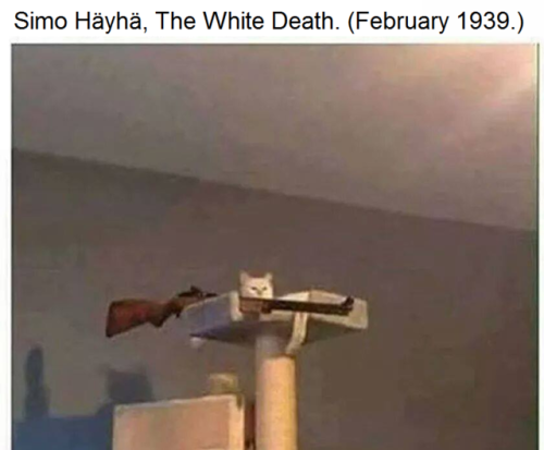 fakehistory:Simo Hayha, “The white death” 1939