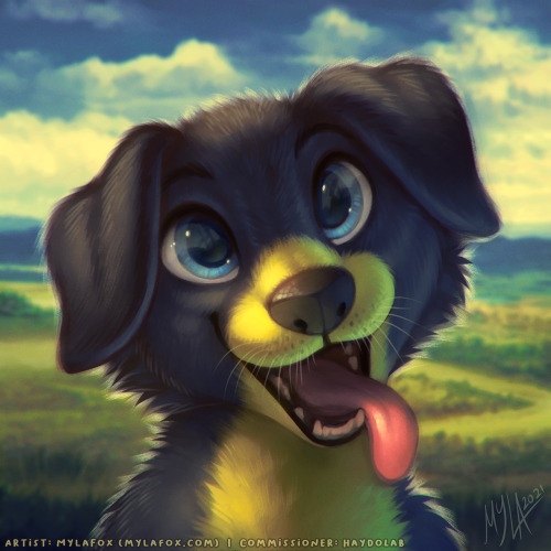 Commission for HaydoLab on TwitterWhat a cute pupper!! Lookit the happy doggo ;w;Thanks so much for 