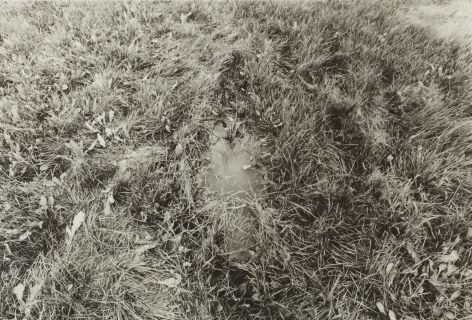 woundgallery:Ana Mendieta, Untitled (Silueta series), 1978