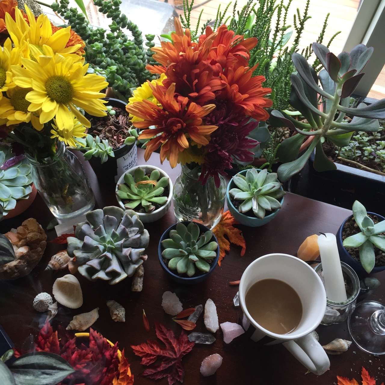 lilcrystalkitty:  Feels like fall ☕️🍁🍂