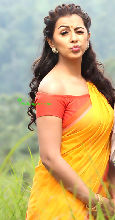 beautifulindiangirls: Nikki Galrani - Hot in saree