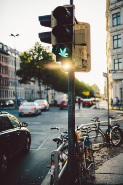 all we need is love&weed