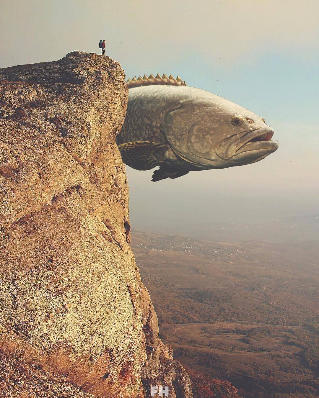 ohthentic:  nevver:Groupers, Fulton Hobbs  Oh 