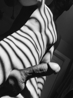 the-bobbybee:  schlongsubmissions:SUBMISSION 0058 Striped body        170720    150727