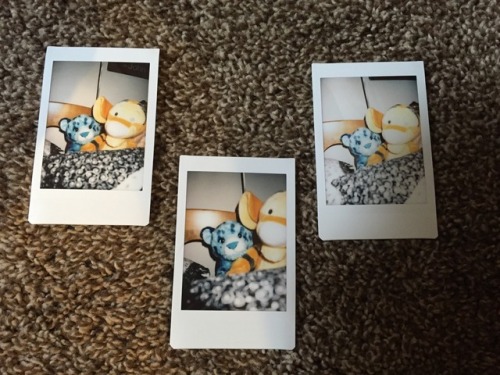 Played around with my new instant camera this morning. Look forward to sexy things soon