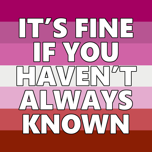 queerlection:[Image description - Images of the rainbow, trans, lesbian, nonbinary, queer, pan, bi, 