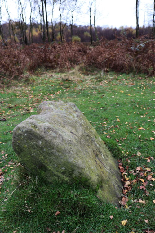 ‘The King Stone’, a single outlier for ‘The Nine Ladies’ Stone Circle, 