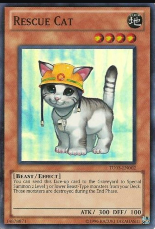 diamond-dangeresque: berrystumpytail: Would non yugioh players believe that this is one of the most 