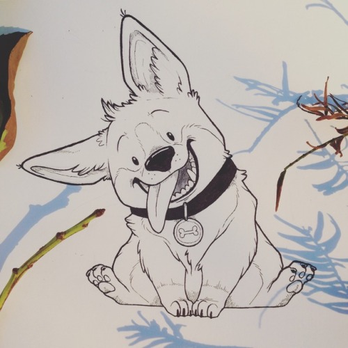 Inktober day 8 - Crooked.A fat corgi with a crooked neck.