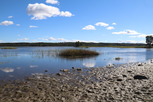 Lake Vänern near Värmlands Säby, Sweden.