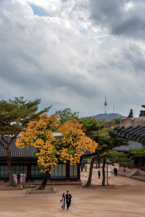 Autumn at Changgyeonggung Palace.