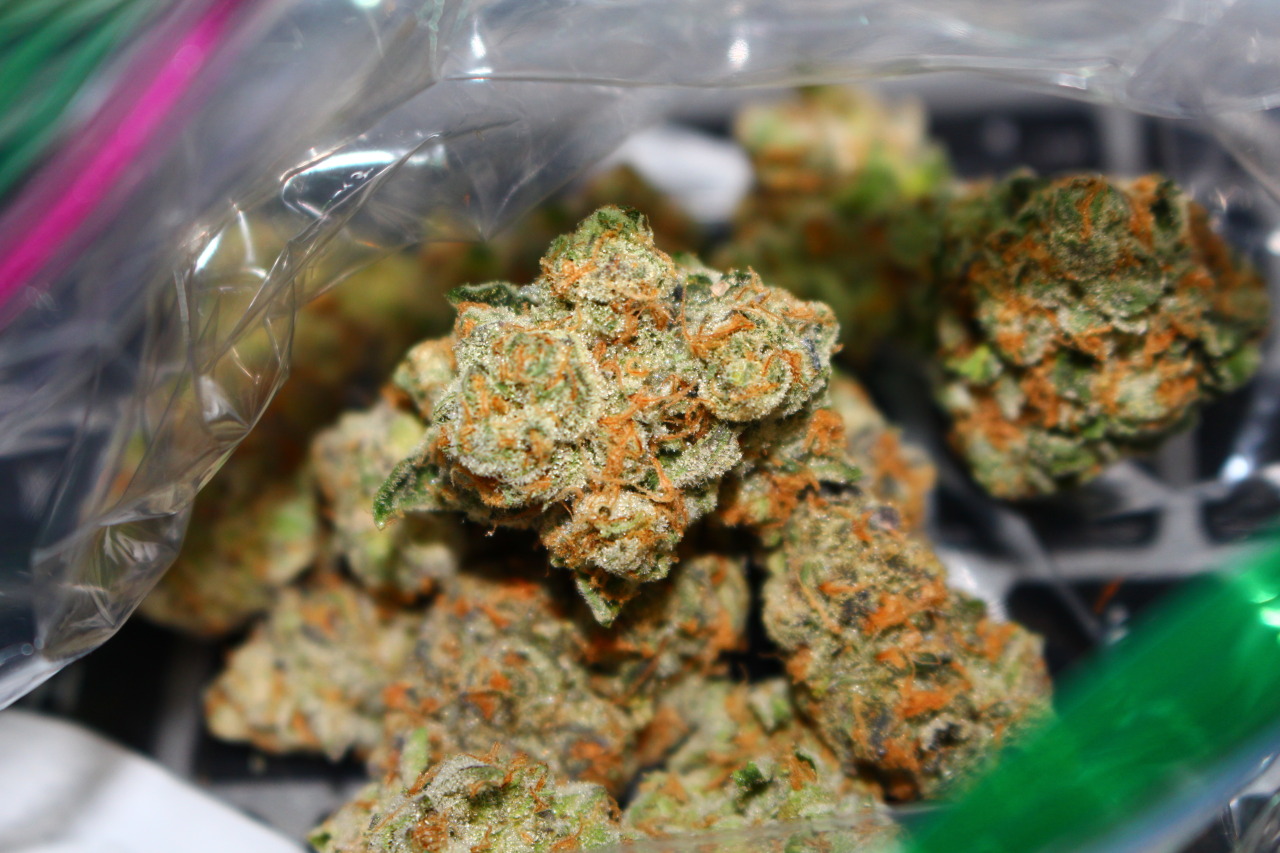 kuush-queen:Fire Bros Girl Scout Cookies