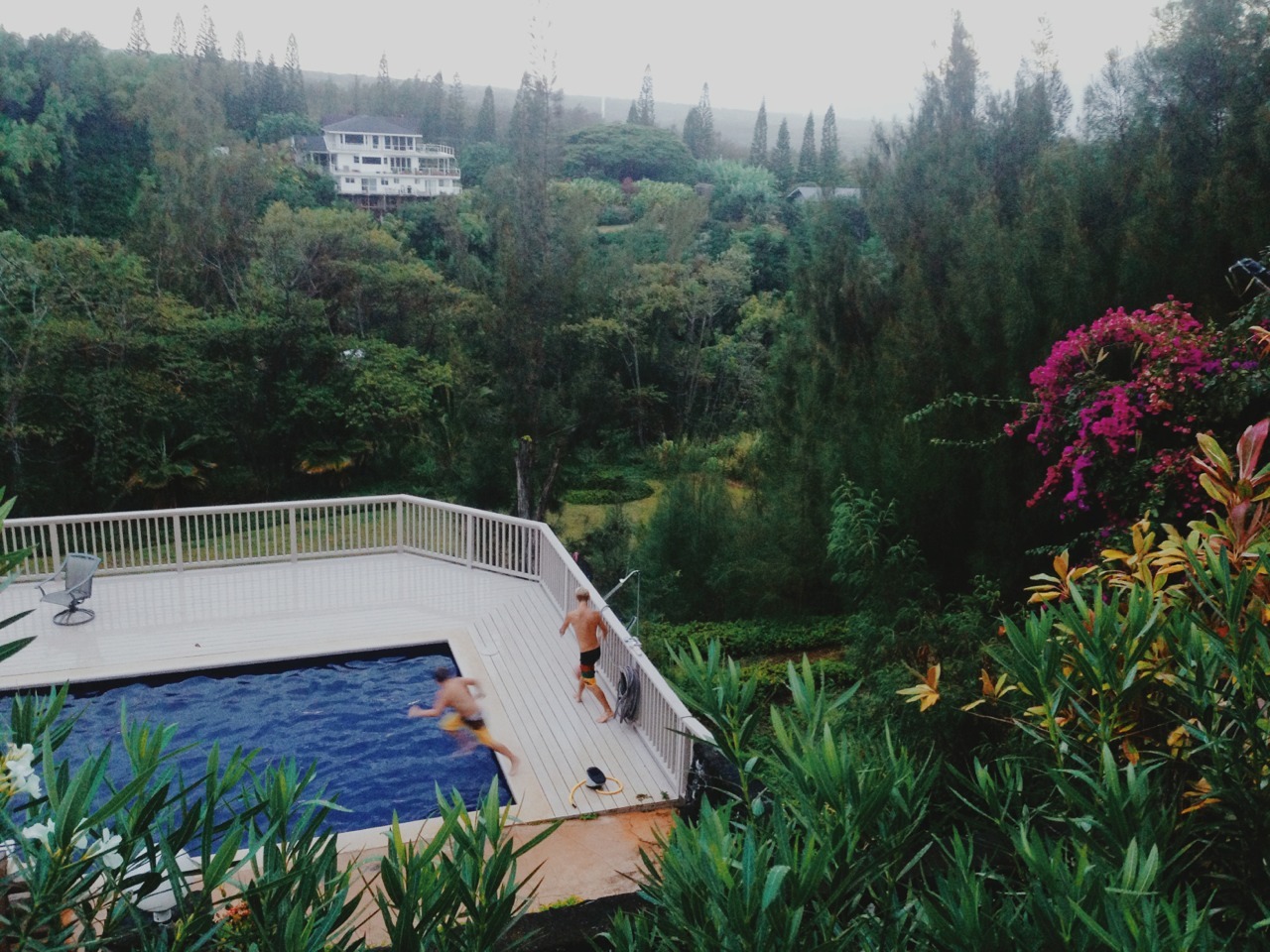 sun-goddess:  Rainy evening dips in the pool