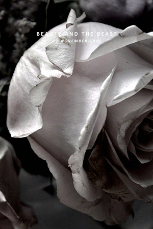zcbini: lastisle: beauty and the beast • dir.  gary trousdale, kirk wise [classics] &l