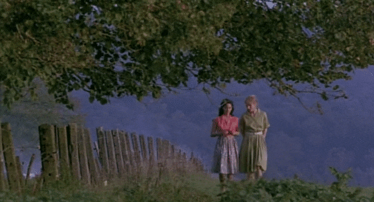 8c07a2ac2a2346d2b76b6dc47e996c0ab015533f.gifv