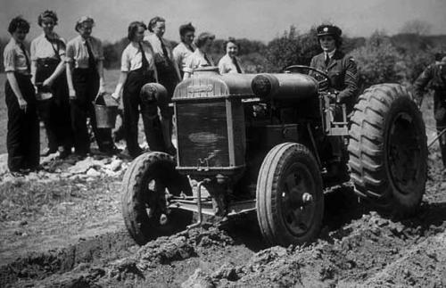 WAAF members &ldquo;digging for victory&rdquo; in their spare time, filling the furrows after the se