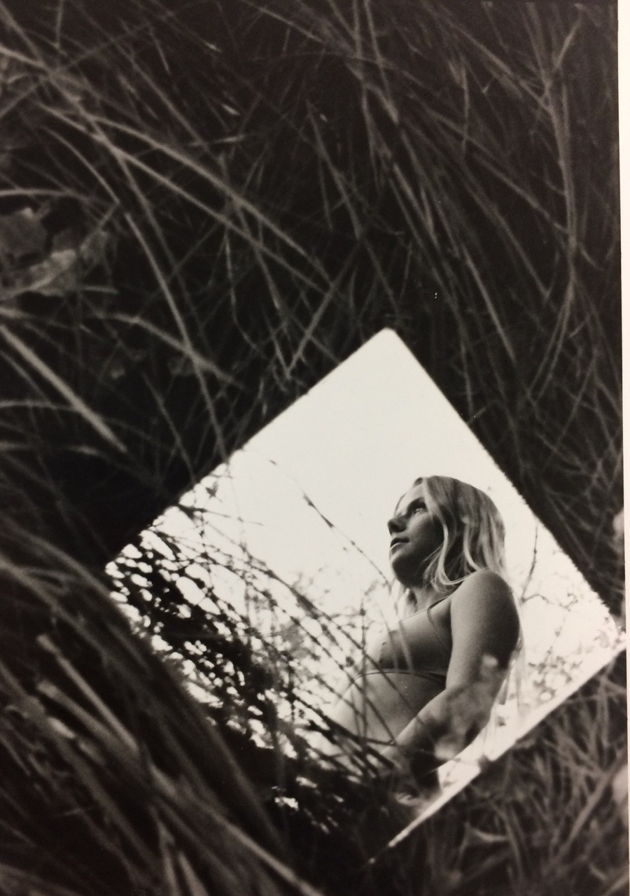 DANA TRIPPE