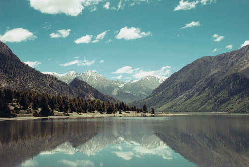 oix:  Ranwuhu,Tibet by ar.hong on Flickr. porn pictures