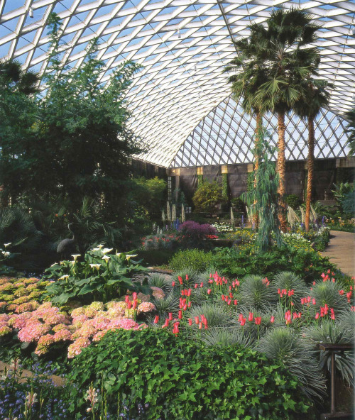 cosmic-giggle:80sretroelectro:Longwood Gardens, Kennett Square, Pennsylvania. Scani grew up going he