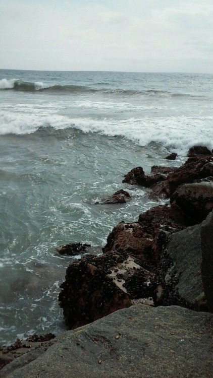 shynessispartofme:  Dove inizia la fine del mare? O addirittura: cosa diciamo quando diciamo: mare? Diciamo l'immenso mostro capace di divorare qualsiasi cosa, o quell'onda che ci schiuma intorno ai piedi? L'acqua che puoi tenere nel cavo della mano o