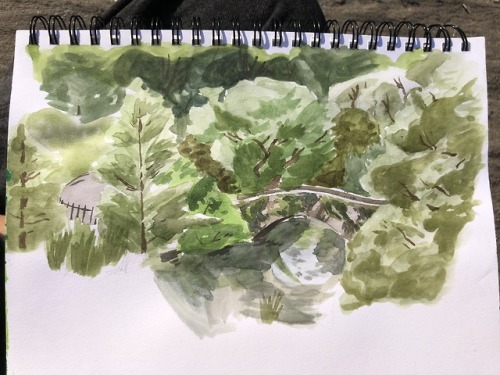 Y’all! I’m in NYC for two weeks so here’s a watercolor sketch from Central Park If you like this kin