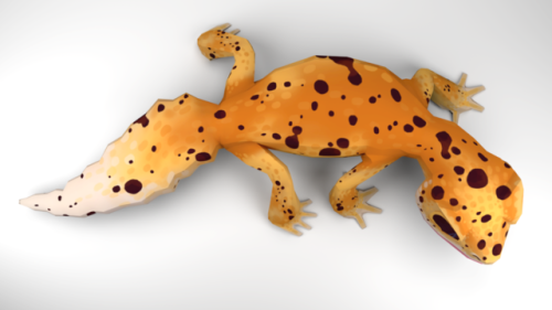 3D Low-poly Leopard Gecko! I’ve been working on this cutie for a bit and finally rigged him for pose