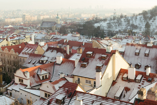 The red roofs of PraguePrague | Winter