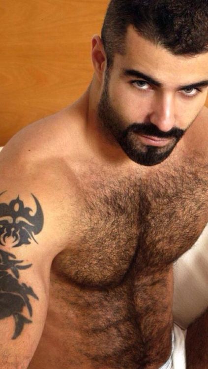 hairyturkishgaymachos: what about that guy?