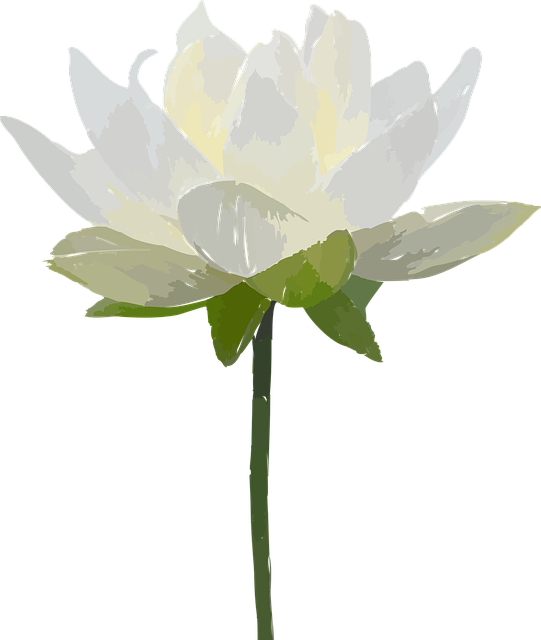 #Lotus White from Holidays-Fetes
