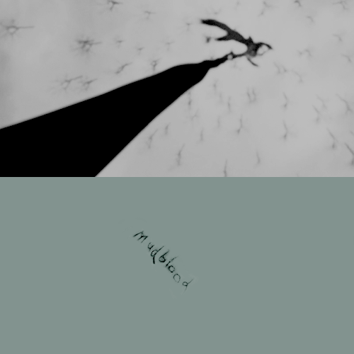 jennlawrnce2-deactivated2015091: Every human life is worth the same, and worth saving.