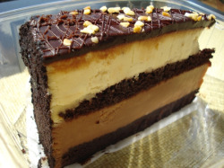 foodescapades:  Chocolate Peanut Butter Cheesecake by Yummies 4 Tummies 
