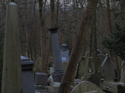 Highgate Cemetery, London, glimpsed from Waterlow Park; 13.2.2021