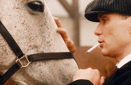 tatianapetrovna:TOMMY SHELBY + HORSES