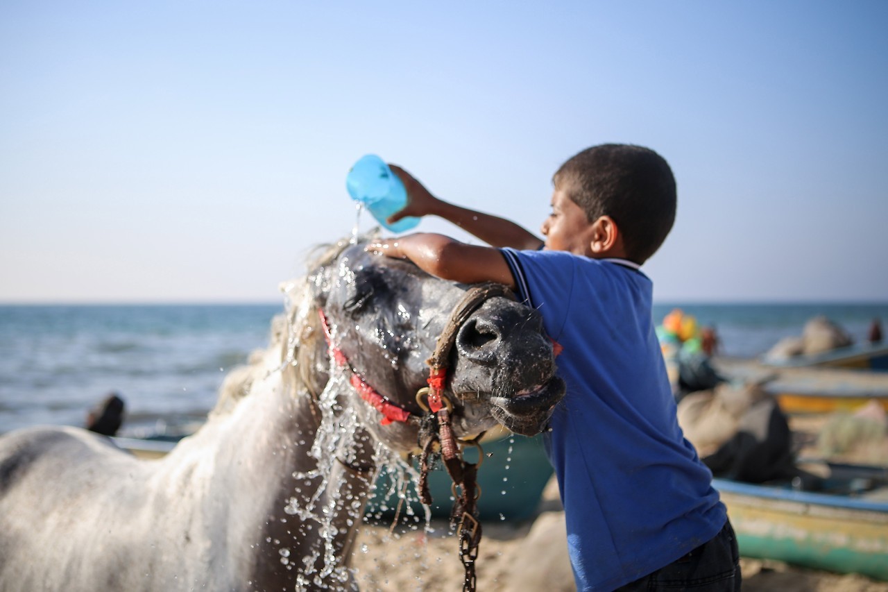 PLAYA Y CONTAMINACIÓN EN GAZA. La Autoridad para la Calidad del Medioambiente palestina ha dicho que la contaminación del agua del mar ha llegado al 50% por la mala calidad del proceso de tratamiento del agua residual que obliga a verter el agua no...
