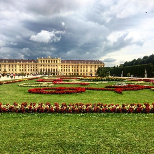 Touring the grounds. . . . . #palace #landscape #garden #flowers #dramaticsky #architecture #vienna 