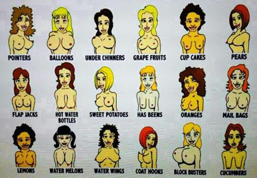 pornholiotex: Boob chart