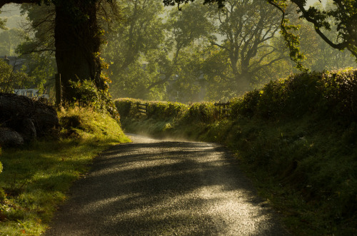 allthingseurope:  Llandderfel, Wales (by Pixellie)